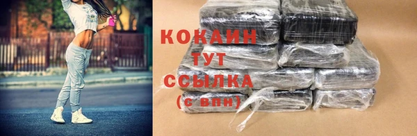 МДПВ Нея