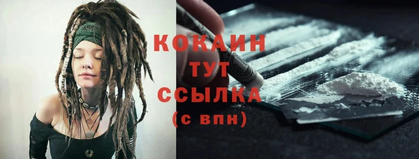 МДПВ Нея