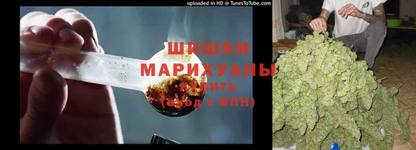 МДПВ Нея