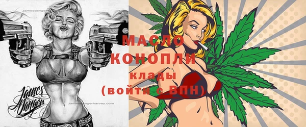 МДПВ Нея